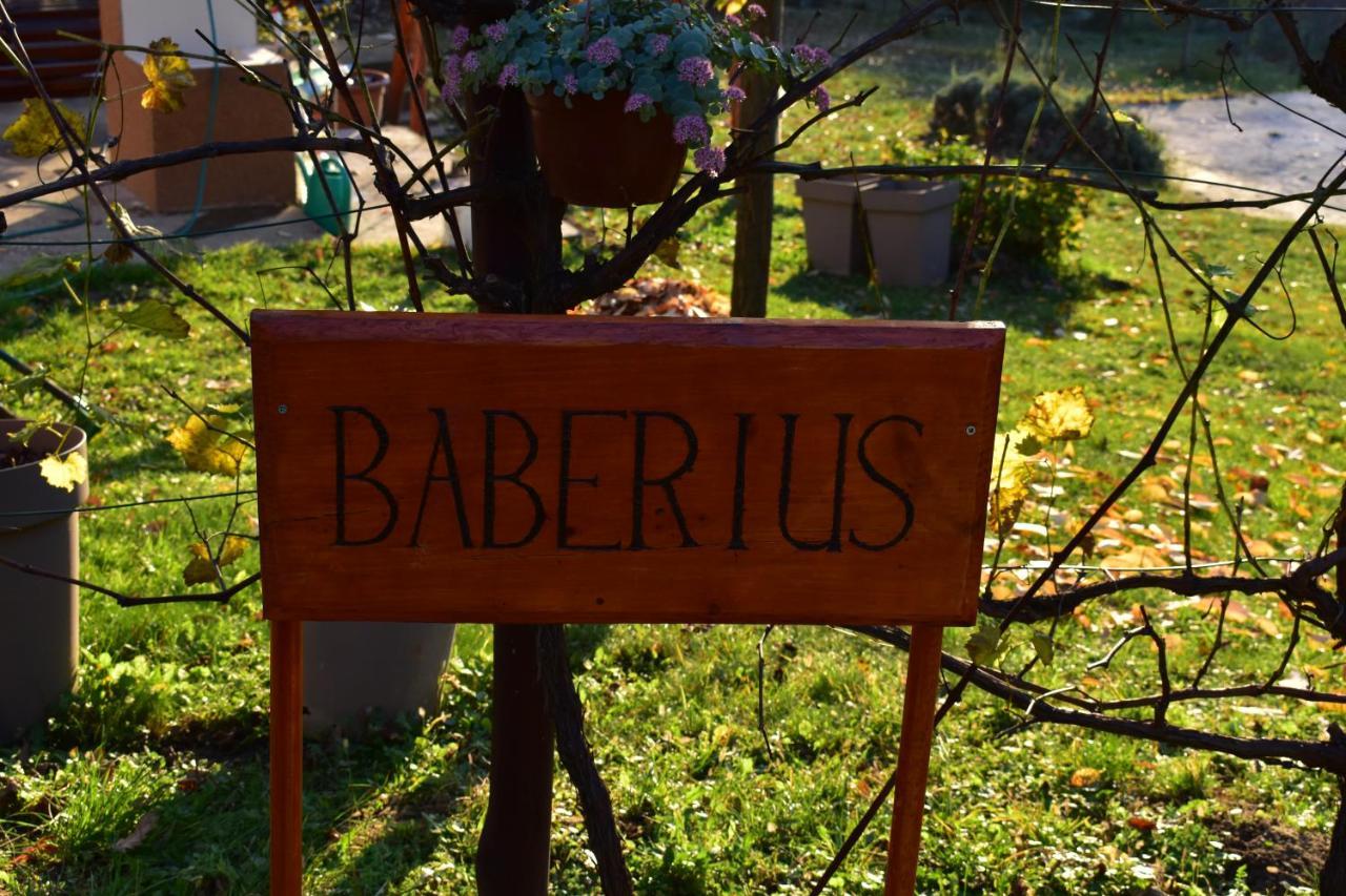 Villa Baberius Exterior foto